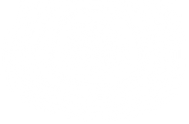 Schein TM2 - oben beschnitten.png